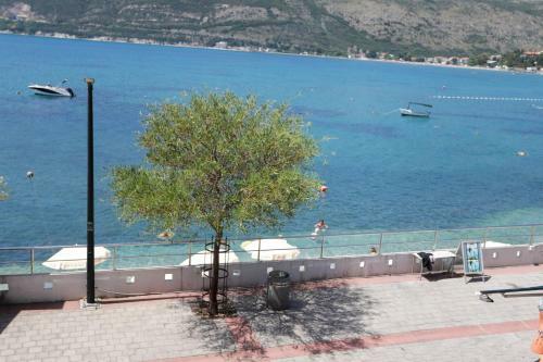 Apartments Cebra
