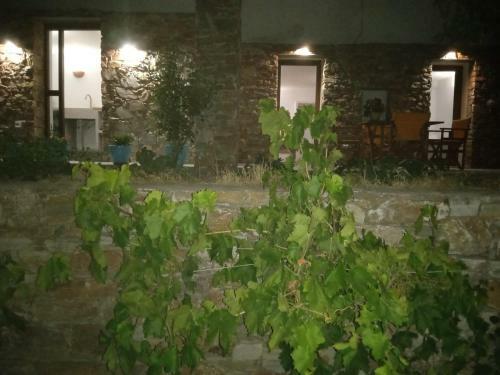 Madilida Sifnos Apartment