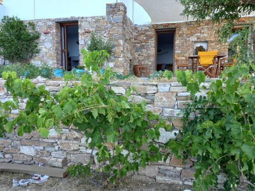 Madilida Sifnos Apartment