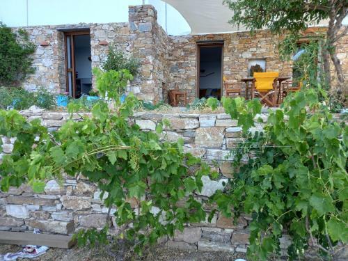 Madilida Sifnos Apartment