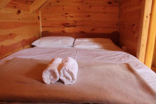 Lodge Hacijenda Bogavac