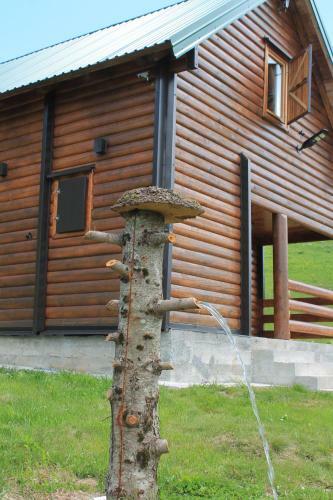 Lodge Hacijenda Bogavac