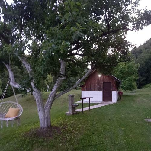 Love Shack