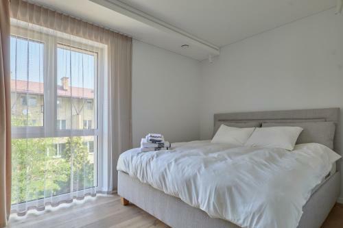 Exceptional Spacious Apartment In ?aliakalnis