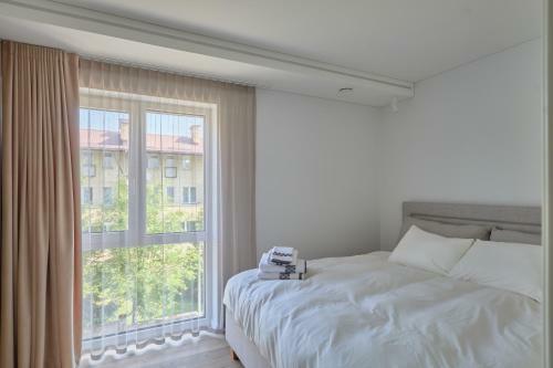 Exceptional Spacious Apartment In ?aliakalnis