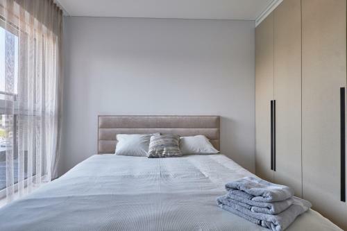 Exceptional Spacious Apartment In ?aliakalnis