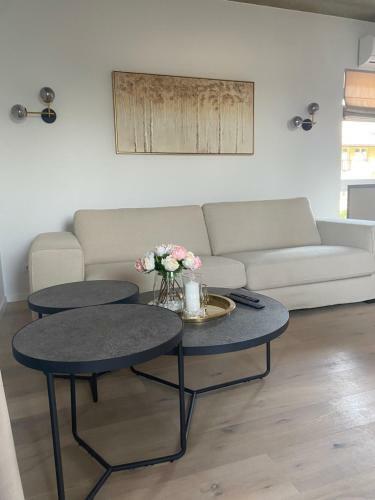 Exceptional Spacious Apartment In ?aliakalnis