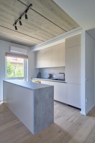 Exceptional Spacious Apartment In ?aliakalnis