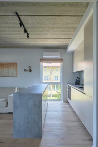 Exceptional Spacious Apartment In ?aliakalnis