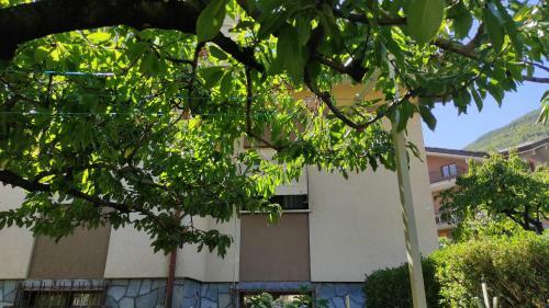 Hostal Casabella Silvana