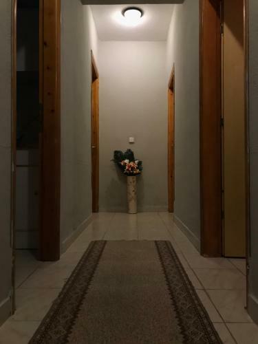Hostal Rena Apartments
