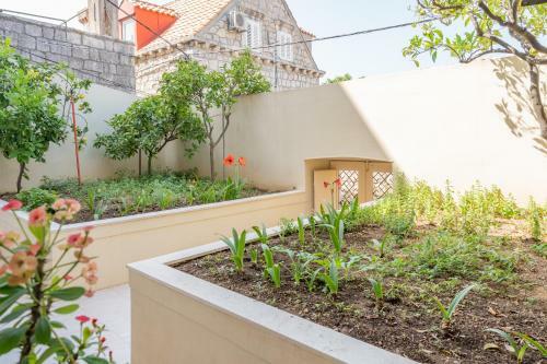 Mazza Apartment Cavtat With Sea View-center