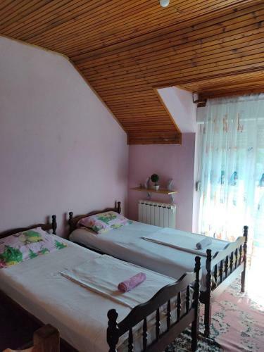 Pink Guest House
