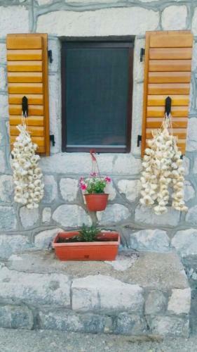 Village House Njegusi