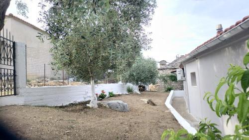 Palm Villa