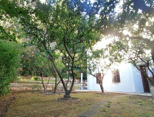 Guest House Buljarica