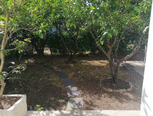 Guest House Buljarica