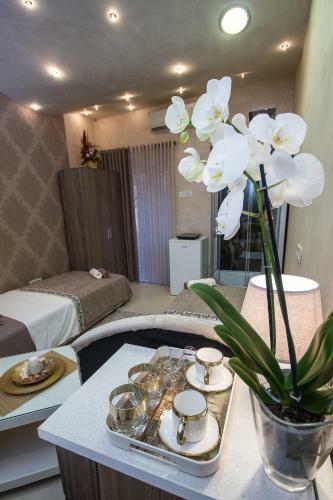 Apartments Lidija