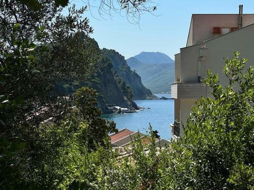 Apartamento Vista Petrovac