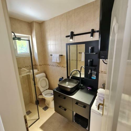 Milica Apartment Petrovac