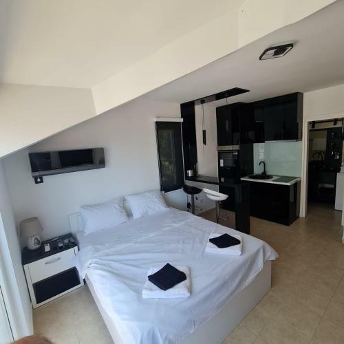 Milica Apartment Petrovac