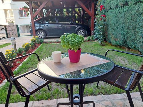 Hostal Iris Guesthouse