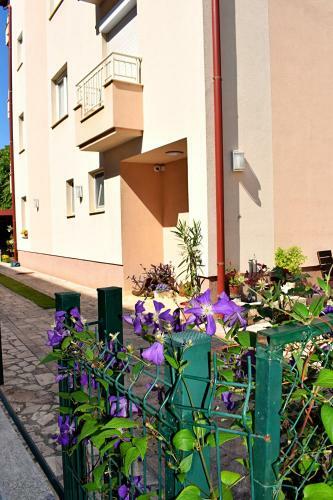 Hostal Iris Guesthouse