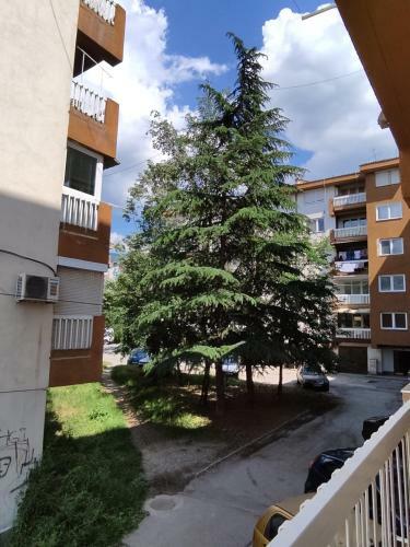 Marko's Apartment