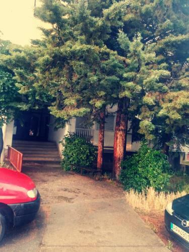 Nadia Apartment