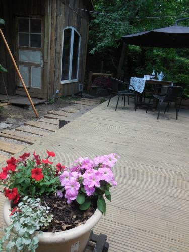 Apartamento Lucky Horse Ranch