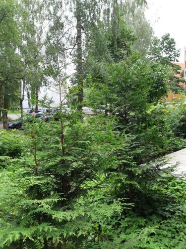 Apartamento Yurmala Relax. Sea/5min,national Forest Park