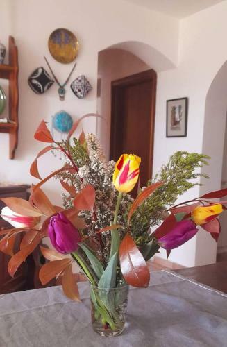 Bed & Breakfast In Vino Veritas