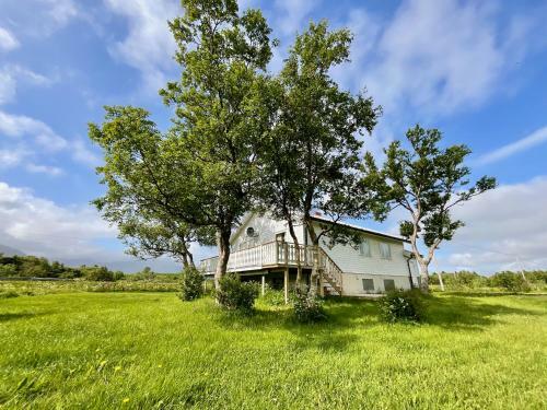 The Birch Grove House Lofoten
