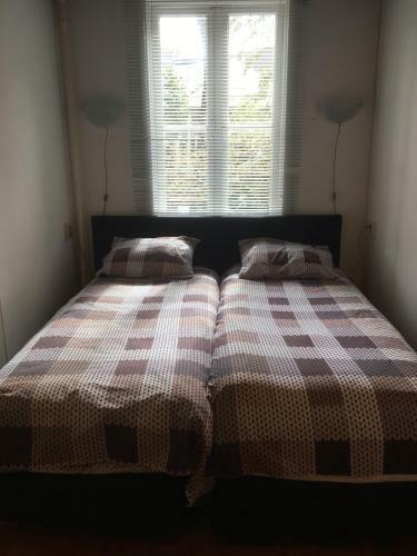 Cosy Apartment De Pijp Bed And Breakfast