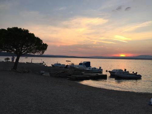 Apartment Ani Crikvenica