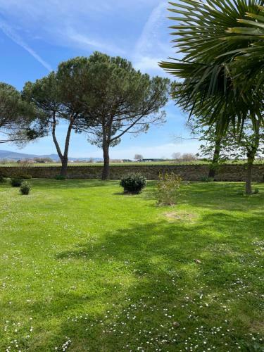 Apartamento La Selva