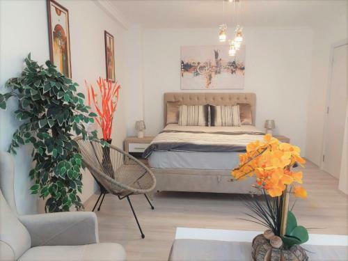 City Lux Apartments