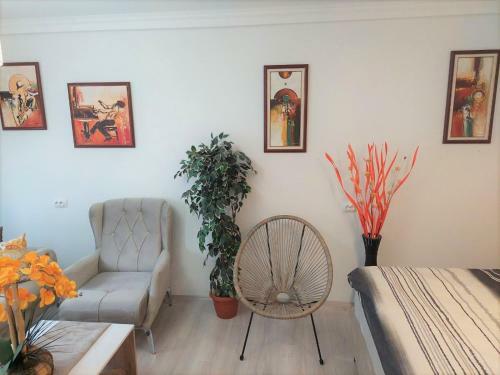 City Lux Apartments