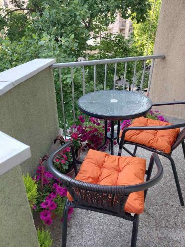 City Lux Apartments