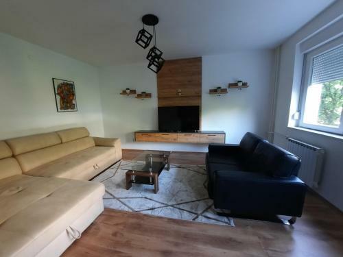 Luxury City Center Apartment