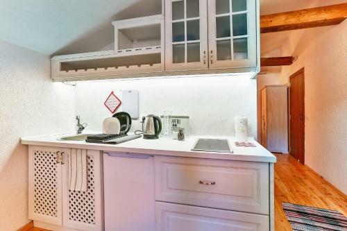 Apartamento Iguana House
