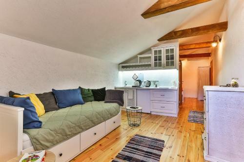 Apartamento Iguana House