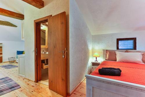 Apartamento Iguana House
