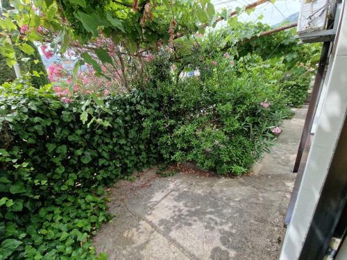 Hostal Djuric Sobe I Apartmani
