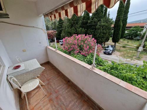 Hostal Djuric Sobe I Apartmani