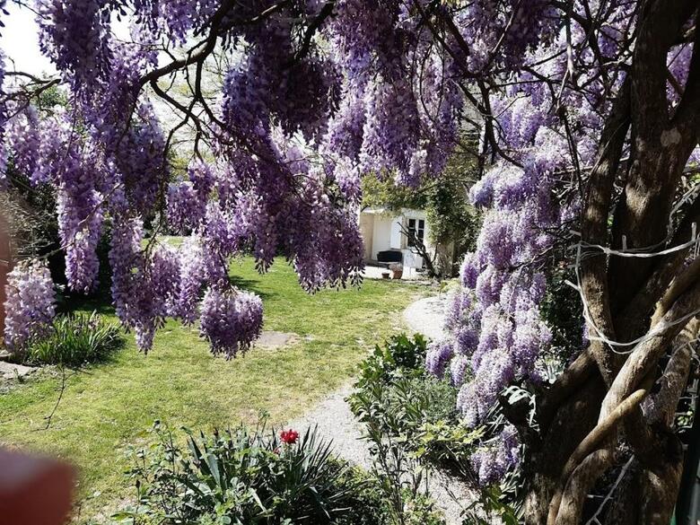 Bed & Breakfast Domaine Les Feuillants