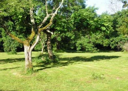 Hostal Chateau Fayolle-luzac
