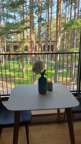 Seaside Apartment At Albatross Resort