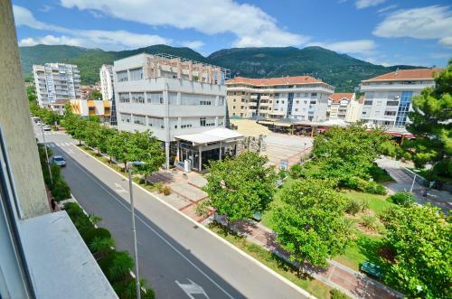 Central Apartment Tivat