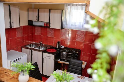 Apartment Arija